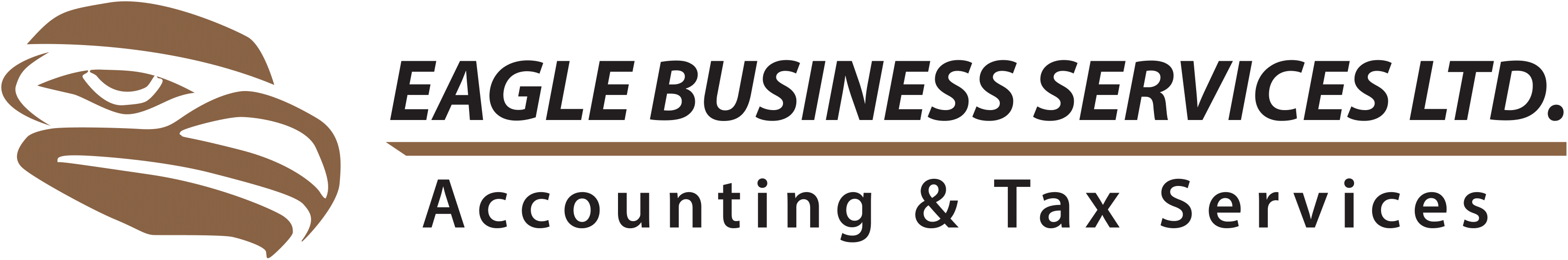 Logo Eagle Business Services